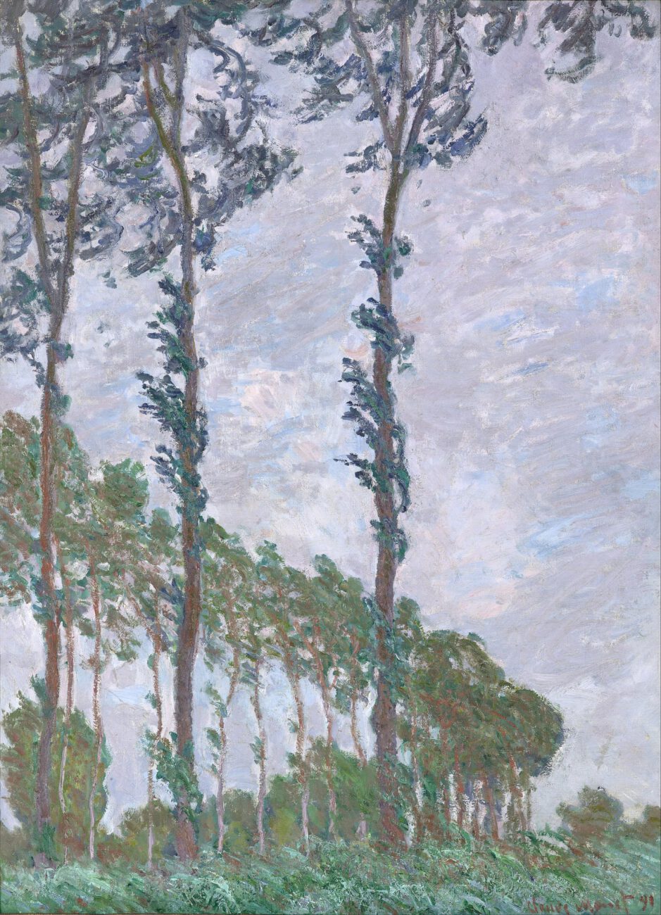 Slender poplars bend in the breeze, their tall trunks forming a rhythm against the pale sky.
